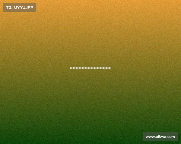 网球比赛设备全解析：从球拍到球场，全面了解比赛必备装备